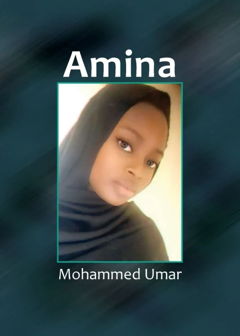 Amina : Hausa Edition