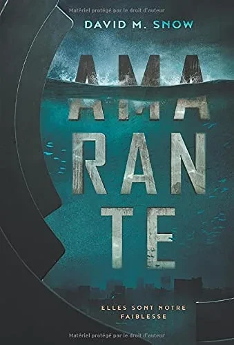 Amarante - 9781777239718