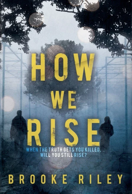 How We Rise - 9781734832914