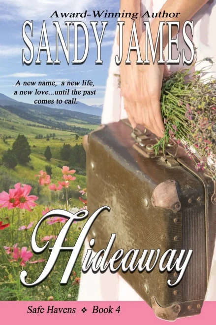 Hideaway (Safe Havens Book 4)