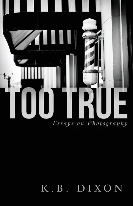 Too True : Essays on Photography