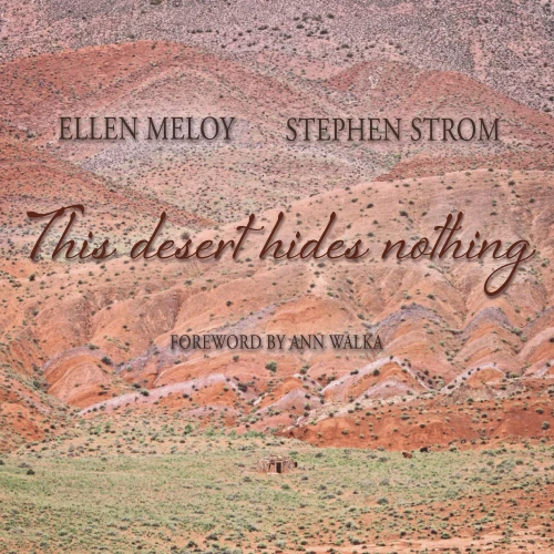 This Desert Hides Nothing: Selections from the Work of Ellen Meloy with Photographs by Stephen Strom