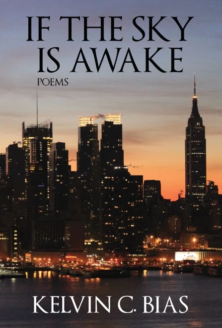 If the Sky Is Awake - 9781734660302