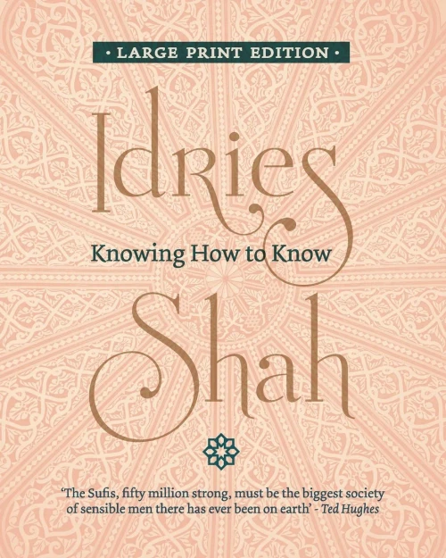 Knowing How to Know - 9781784794057