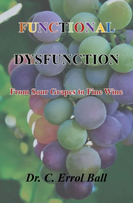Functional Dysfunction: From Sour Grapes to Fine Wine (Paperback)