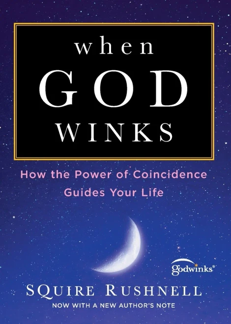 When God Winks: How the Power of Coincidence Guides Your Life (1) (The Godwink Series)