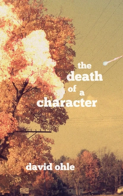 The Death of a Character (Hardback)