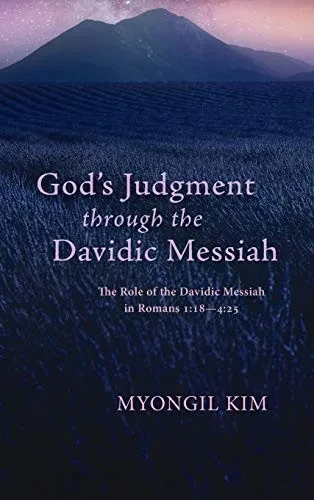 God's Judgment Through the Davidic Messiah: The Role of the Davidic Messiah in Romans 1:18--4:25 (Hardback)