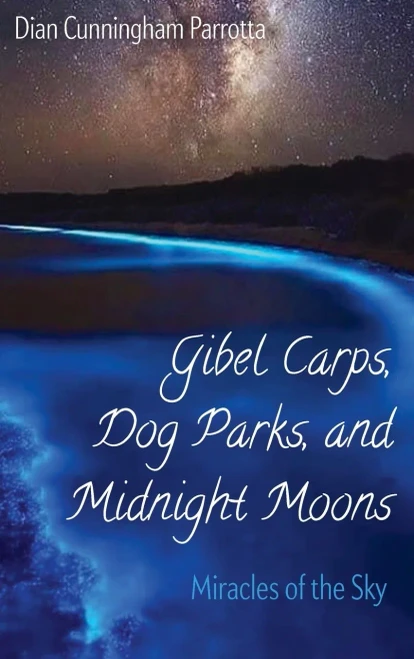 Gibel Carps, Dog Parks, and Midnight Moons: Miracles of the Sky (Hardback)