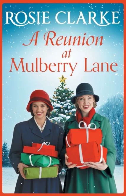 A Reunion at Mulberry Lane (9781838899226)