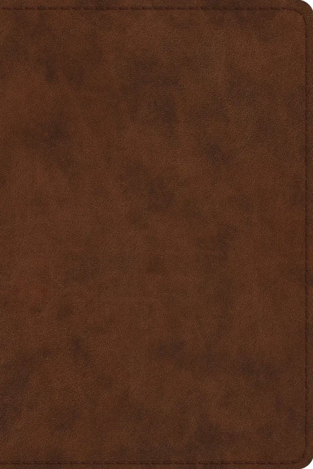 Study Bible-ESV-Personal Size (Leather)