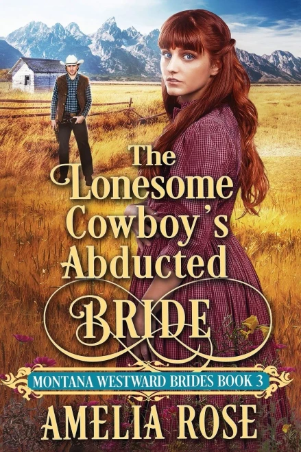 The Lonesome Cowboy's Abducted Bride (9781913591304)