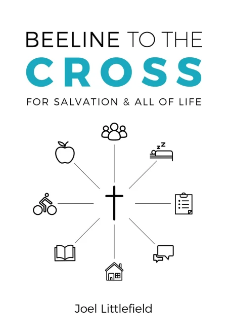 Beeline to the Cross (Paperback)