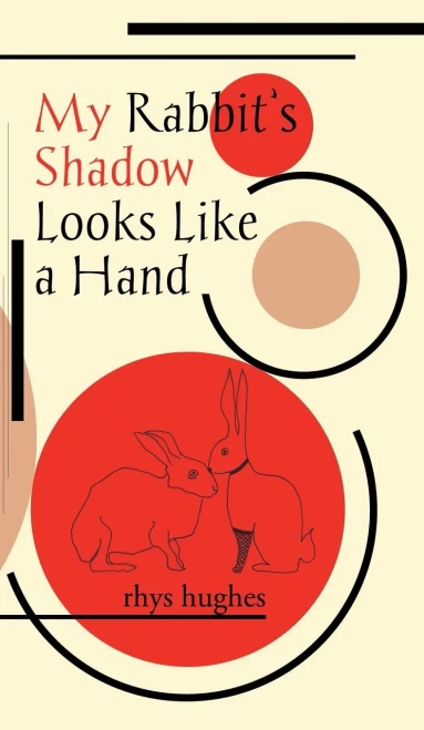 My Rabbit's Shadow Looks Like a Hand (Hardback)
