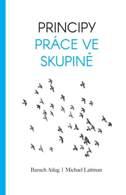 Principy Pr?ce Ve Skupině