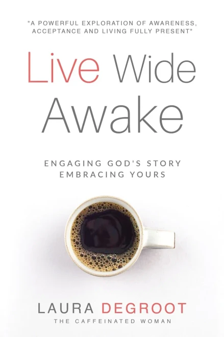 Live Wide Awake: Engaging God's Story; Embracing Yours