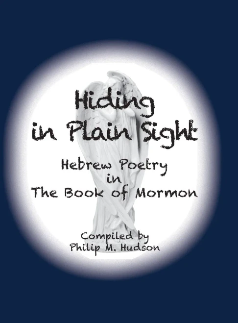 Hiding in Plain Sight (9781950647491)