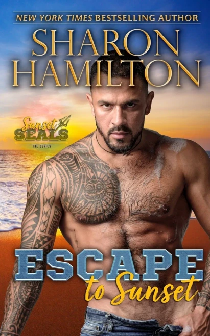 Escape To Sunset: One Night Stand Romance-Hiding From The Mob