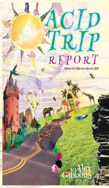 Acid Trip Report - What it's like to trip on LSD (Hardback)