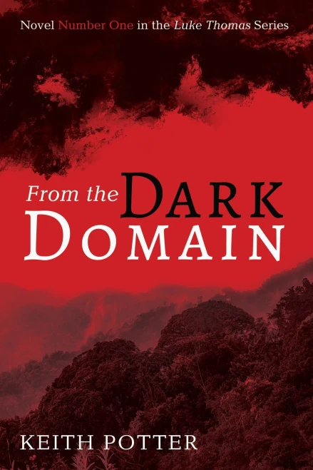 From the Dark Domain: Novel Number One in the Luke Thomas Series (Paperback)