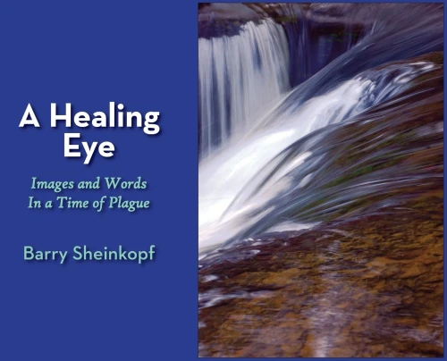 A Healing Eye: Images and Words in a Time of Plague (Hardback)