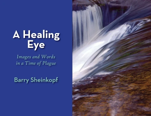 A Healing Eye: Images and Words in a Time of Plague (Paperback)