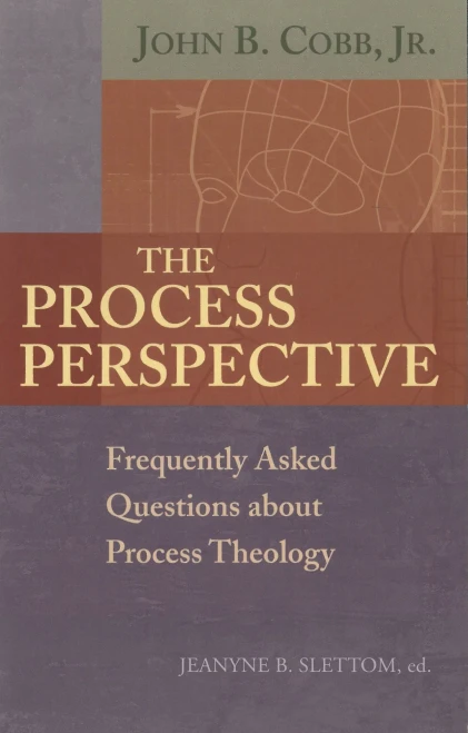The Process Perspective: Frequently Asked Questions about Process Theology (Paperback)