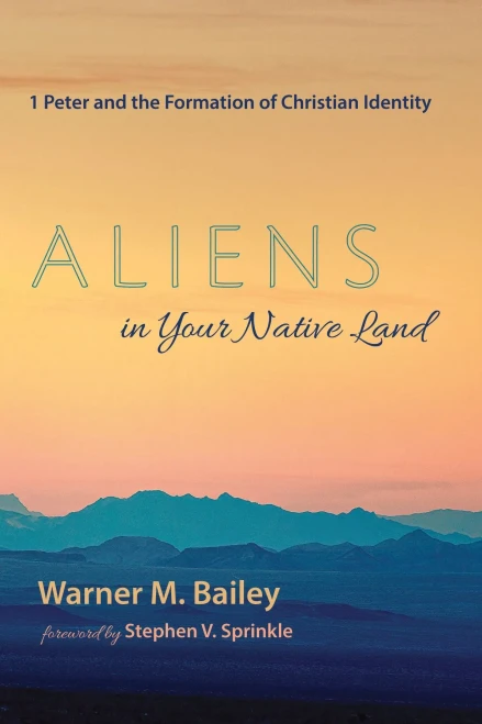 Aliens in Your Native Land: 1 Peter and the Formation of Christian Identity (Paperback)