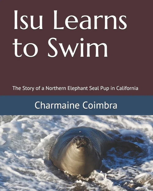 Isu Learns to Swim: The Story of a Northern Elephant Seal Pup in California