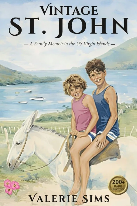 Vintage St. John: Discover St. John's History Through Seven Generations of Heartfelt Stories