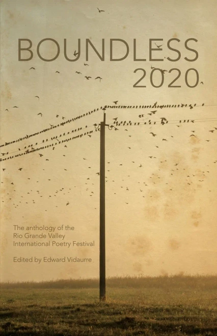 Boundless 2020: the official anthology of the Rio Grande Valley International Poetry Festival
