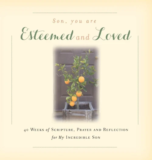 Son, You are Esteemed and Loved: 40 Weeks of Scripture, Prayer and Reflection for My Incredible Son