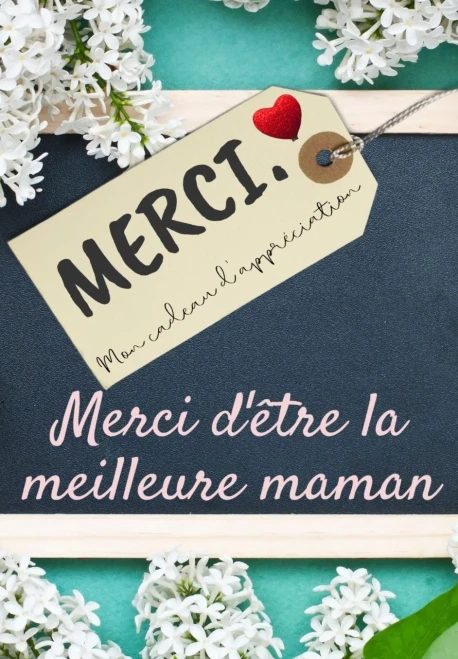 Merci D'?tre La Meilleure Maman: Mon cadeau d'appr?ciation: Livre-cadeau en couleurs Questions guid?es 6,61 x 9,61 pouces