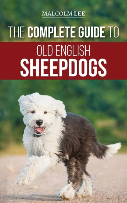 The Complete Guide to Old English Sheepdogs: Finding, Selecting, Raising, Feeding, Training, and Loving Your New OES Puppy (Hardback)