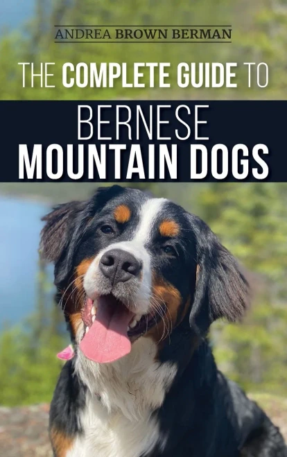 The Complete Guide to Bernese Mountain Dogs: Selecting, Preparing For, Training, Feeding, Socializing, and Loving Your New Berner Puppy (Hardback)