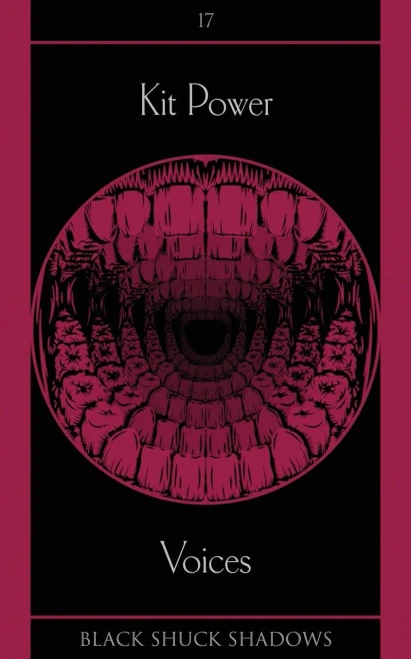 Voices (9781913038465)