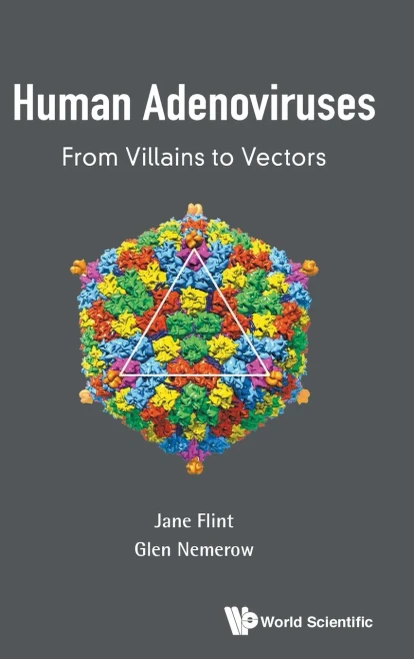 Human Adenoviruses: From Villains to Vectors