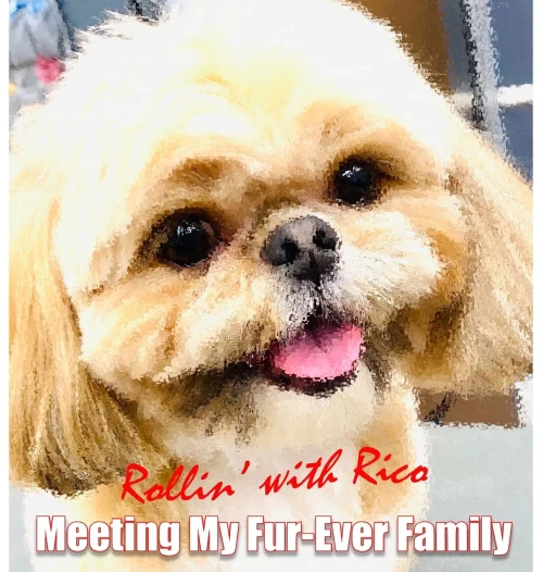 Rollin' with Rico: Meeting My Fur-Ever Family