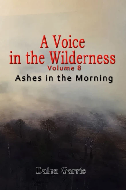 A Voice in the Wilderness - Ashes in the Morning