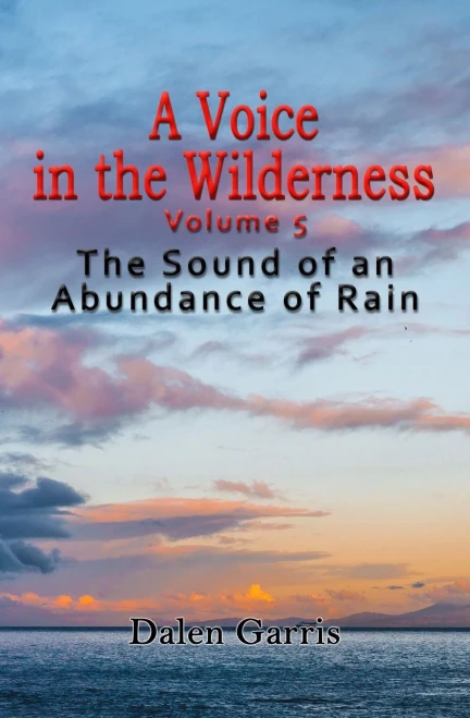 A Voice in the Wilderness - the Sound of an Abundance of Rain