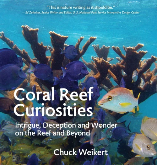 Coral Reef Curiosities: Intrigue, Deception and Wonder on the Reef and Beyond (Hardback)