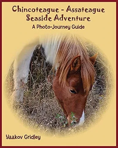 Chincoteague-Assateague Seaside Adventure: A Photo-Journey Guide (Paperback)