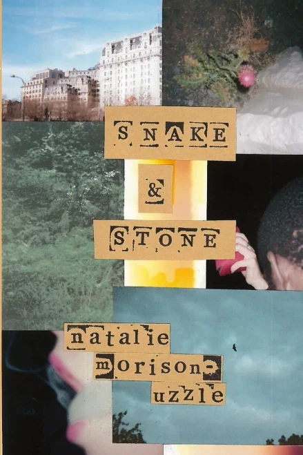 Snake & Stone (9781952773068)