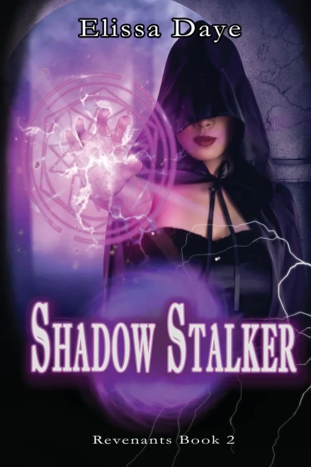 Shadow Stalker (9781953271242)