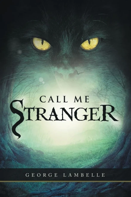 Call Me Stranger (9781982281656)