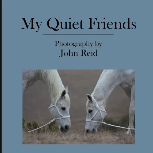 My Quiet Friends