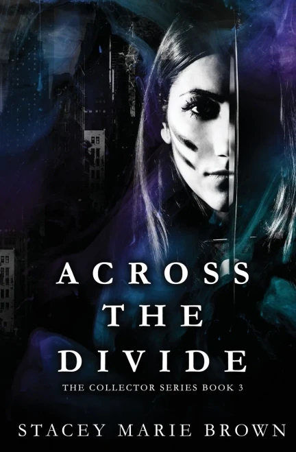 Across The Divide (9781956600261)