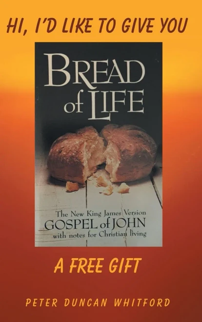 Hi, I'd Like to Give You a Free Gift (Hardback)