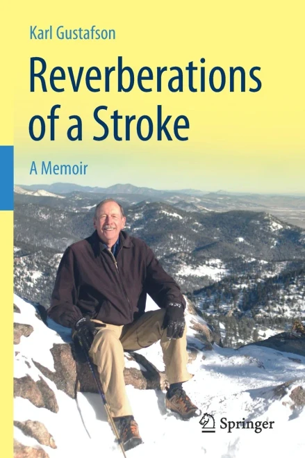 Reverberations of a Stroke: A Memoir (Paperback)