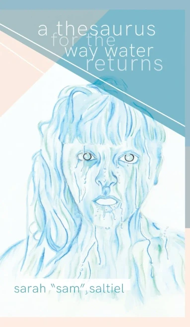 A Thesaurus for the Way Water Returns (Hardback)